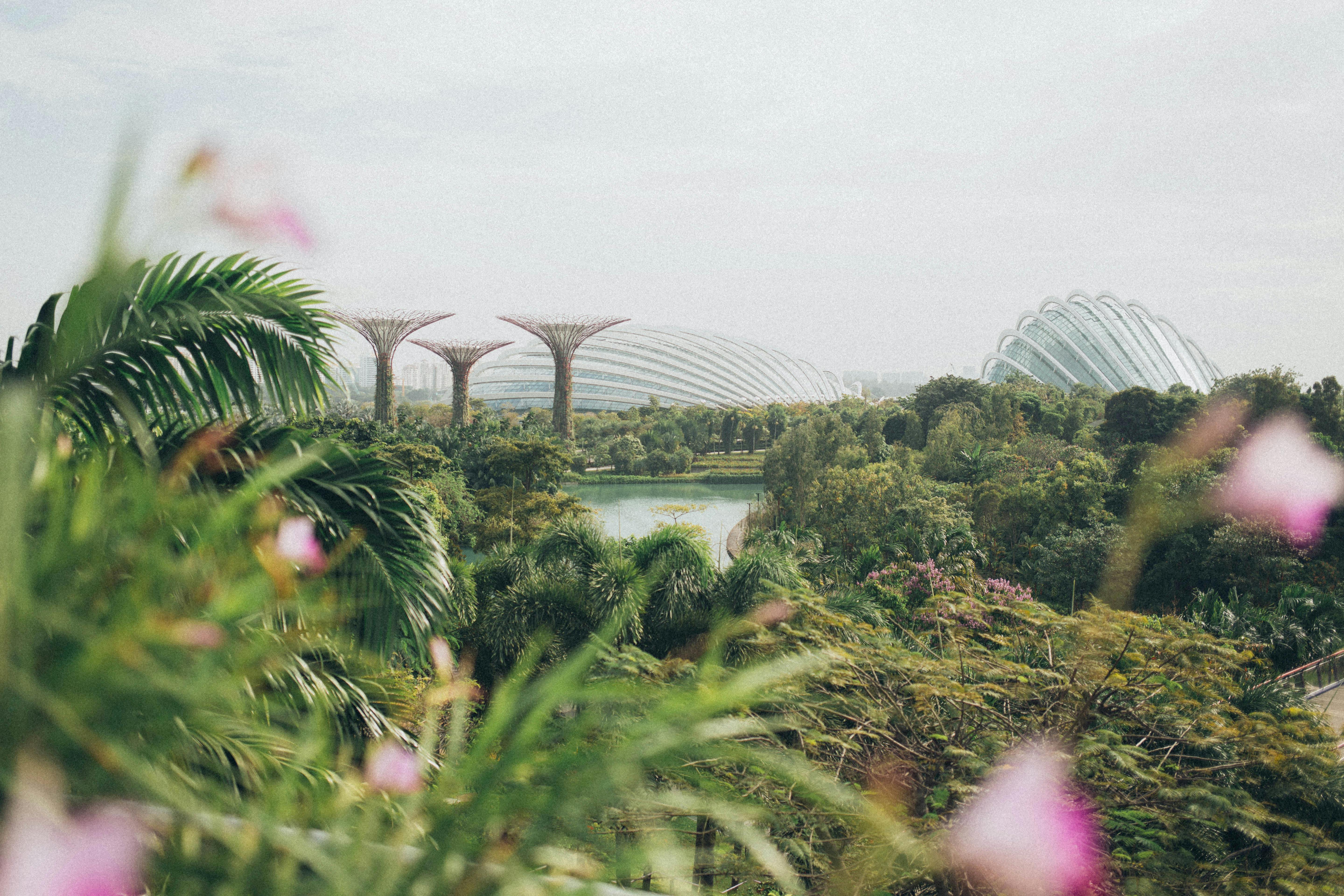 REALM Singapore’s Commitment to a Greener Tomorrow