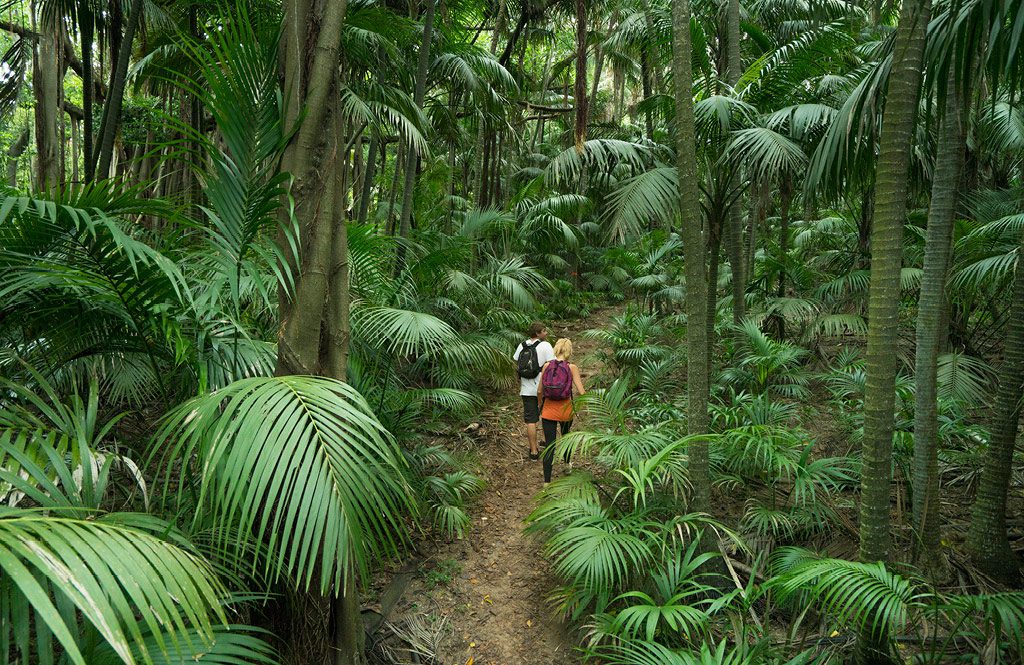 Experience Lord Howe Island – Australia